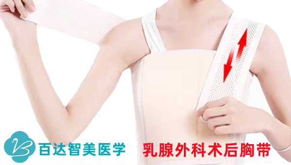 1726106989284829.jpg 医用胸骨固定带_副本.jpg